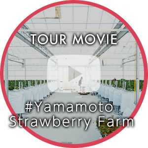 山元いちご農園